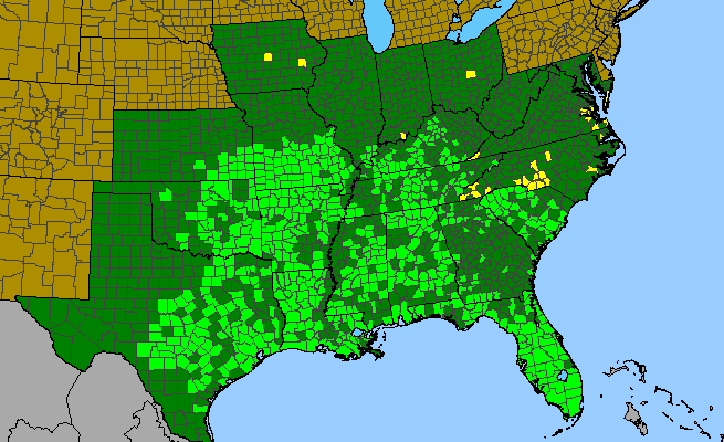 The range of Verbesina virginica